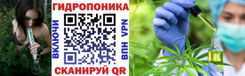 Купить где  Великий Новгород  Конопля план 